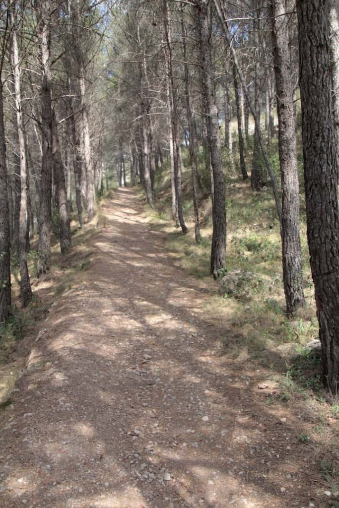 ruta que hacer en Arnedillo