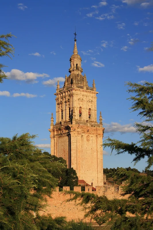 Torre de la catedral de el burgo de osma