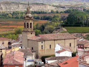 iglesia parroquial san martin que ver en el ciego