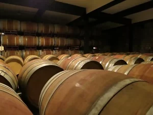 las mejores bodegas para visitar en logroño