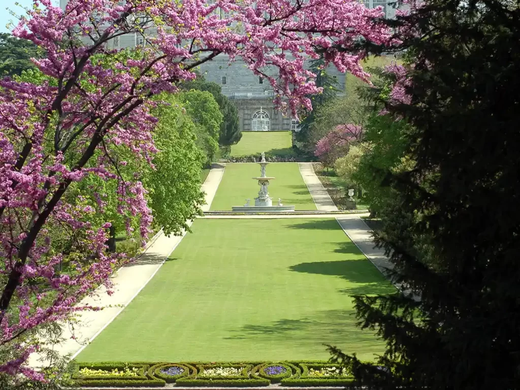 jardines del moro cesped perfecto arboles y camino con vistas al palacio real